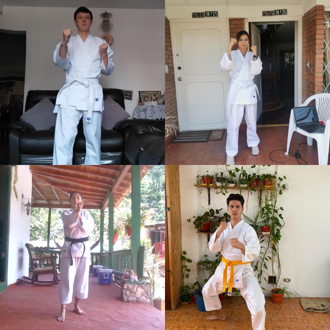 Torneo Virtual Karate Do Abril 2020